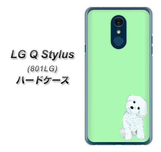 Y!mobile LG Q Stylus 801LG 高画質仕上げ 背面印刷 ハードケース【YJ071 トイプードルホワイト(グリーン)】