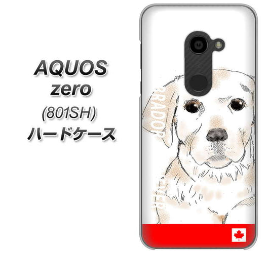 SoftBank アクオスゼロ 801SH 高画質仕上げ 背面印刷 ハードケース【YD821 ラブラドールレトリバー02】