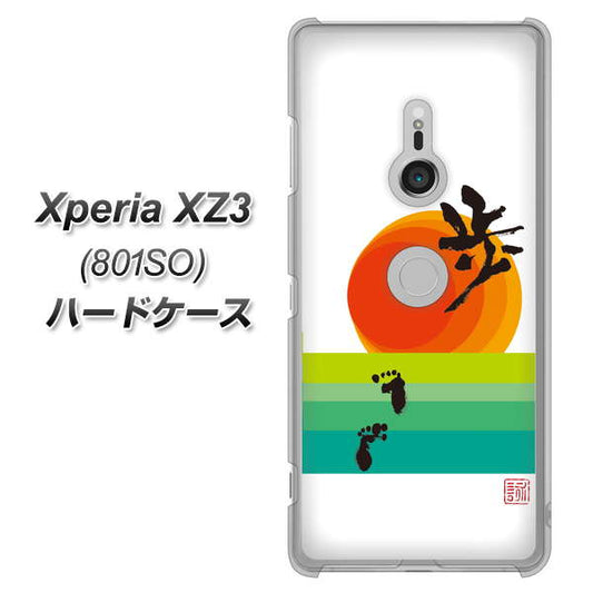 SoftBank エクスペリア XZ3 801SO 高画質仕上げ 背面印刷 ハードケース【OE809 歩ム】