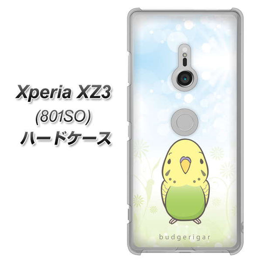 SoftBank エクスペリア XZ3 801SO 高画質仕上げ 背面印刷 ハードケース【SC838 セキセイインコ グリーン】