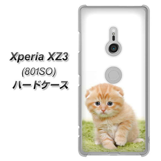 SoftBank エクスペリア XZ3 801SO 高画質仕上げ 背面印刷 ハードケース【VA802 ネコこっそり】