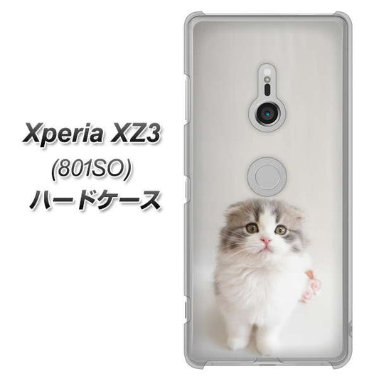 SoftBank エクスペリア XZ3 801SO 高画質仕上げ 背面印刷 ハードケース【VA803 まっていますネコ】