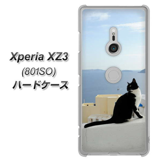 SoftBank エクスペリア XZ3 801SO 高画質仕上げ 背面印刷 ハードケース【VA805 ネコと地中海】