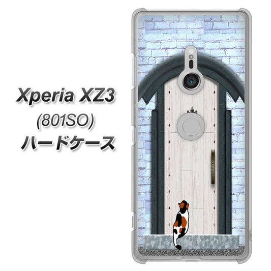 SoftBank エクスペリア XZ3 801SO 高画質仕上げ 背面印刷 ハードケース【YA951 石ドア01】