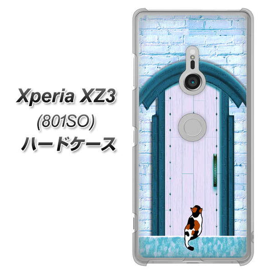 SoftBank エクスペリア XZ3 801SO 高画質仕上げ 背面印刷 ハードケース【YA953 石ドア03 素材クリア】