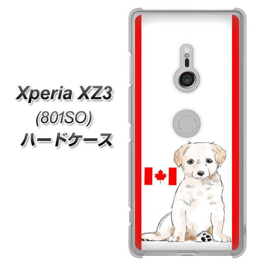 SoftBank エクスペリア XZ3 801SO 高画質仕上げ 背面印刷 ハードケース【YD824 ラブラドールレトリバー05】