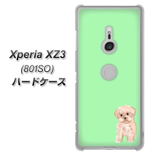 SoftBank エクスペリア XZ3 801SO 高画質仕上げ 背面印刷 ハードケース【YJ063 トイプードルアプリコット（グリーン）】