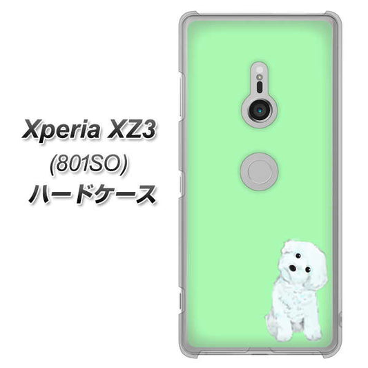 SoftBank エクスペリア XZ3 801SO 高画質仕上げ 背面印刷 ハードケース【YJ071 トイプードルホワイト（グリーン）】