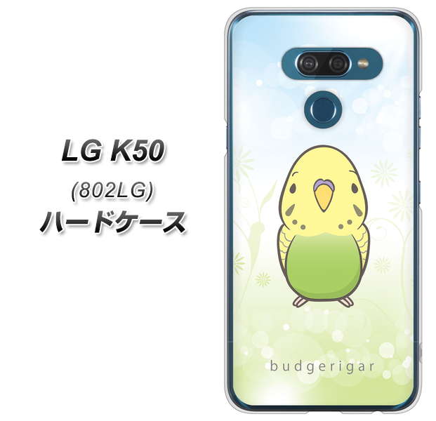 softbank LG K50 802LG 高画質仕上げ 背面印刷 ハードケース【SC838 セキセイインコ グリーン】