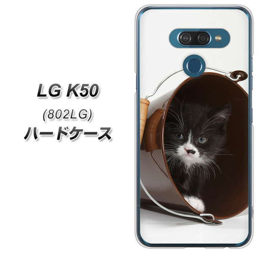 softbank LG K50 802LG 高画質仕上げ 背面印刷 ハードケース【VA800 ネコとバケツ】