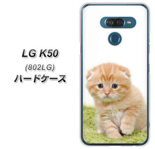 softbank LG K50 802LG 高画質仕上げ 背面印刷 ハードケース【VA802 ネコこっそり】