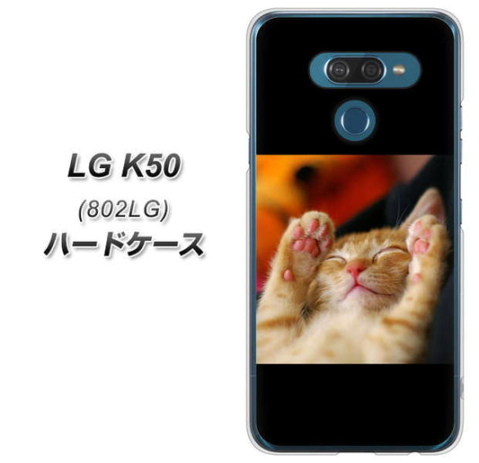 softbank LG K50 802LG 高画質仕上げ 背面印刷 ハードケース【VA804 爆睡するネコ】