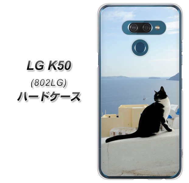 softbank LG K50 802LG 高画質仕上げ 背面印刷 ハードケース【VA805 ネコと地中海】