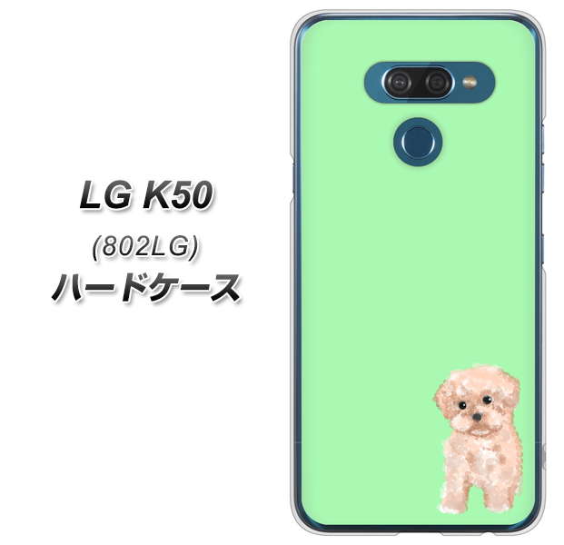 softbank LG K50 802LG 高画質仕上げ 背面印刷 ハードケース【YJ063 トイプードルアプリコット(グリーン)】