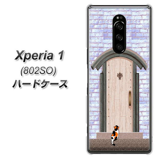 softbank エクスぺリア ワン 802SO 高画質仕上げ 背面印刷 ハードケース【YA952 石ドア02 素材クリア】