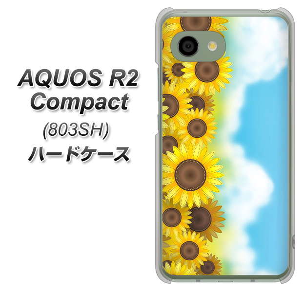 SoftBank アクオス R2 コンパクト 803SH 高画質仕上げ 背面印刷 ハードケース【148 ひまわり畑】