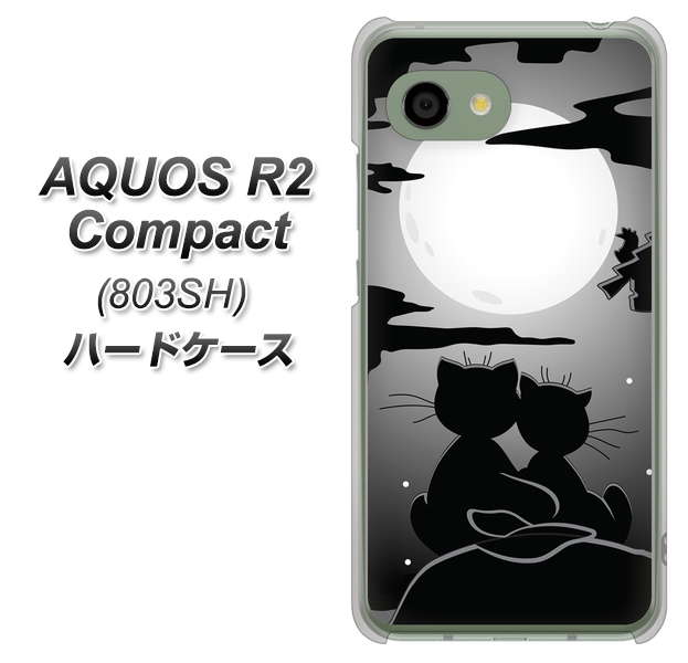 SoftBank アクオス R2 コンパクト 803SH 高画質仕上げ 背面印刷 ハードケース【342 月夜の二人】