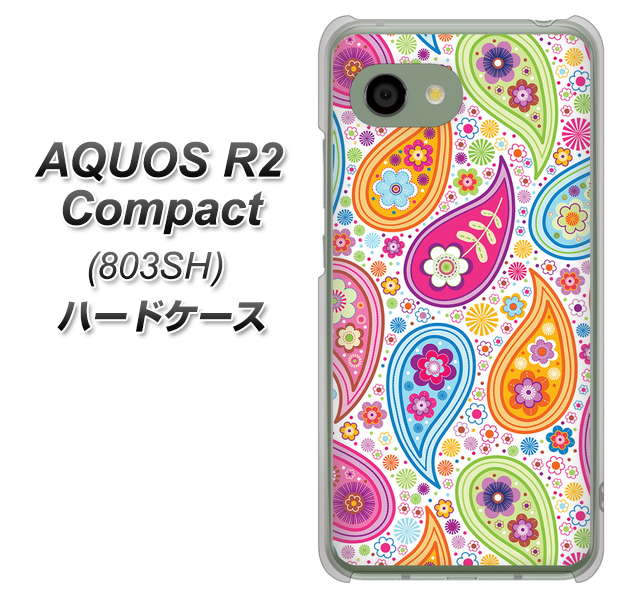 SoftBank アクオス R2 コンパクト 803SH 高画質仕上げ 背面印刷 ハードケース【378 カラフルペイズリー】