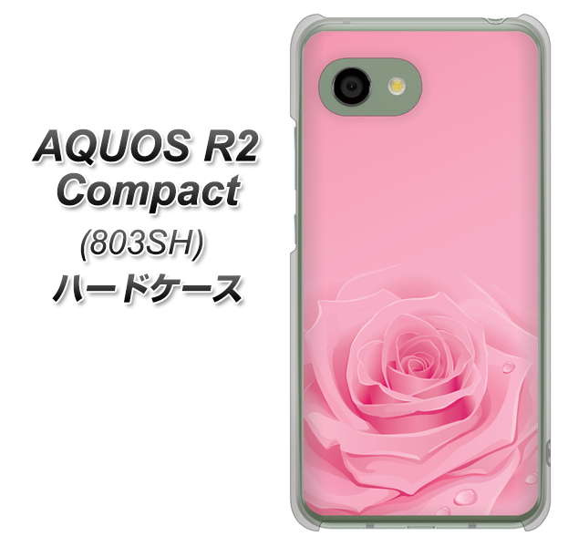 SoftBank アクオス R2 コンパクト 803SH 高画質仕上げ 背面印刷 ハードケース【401 ピンクのバラ】