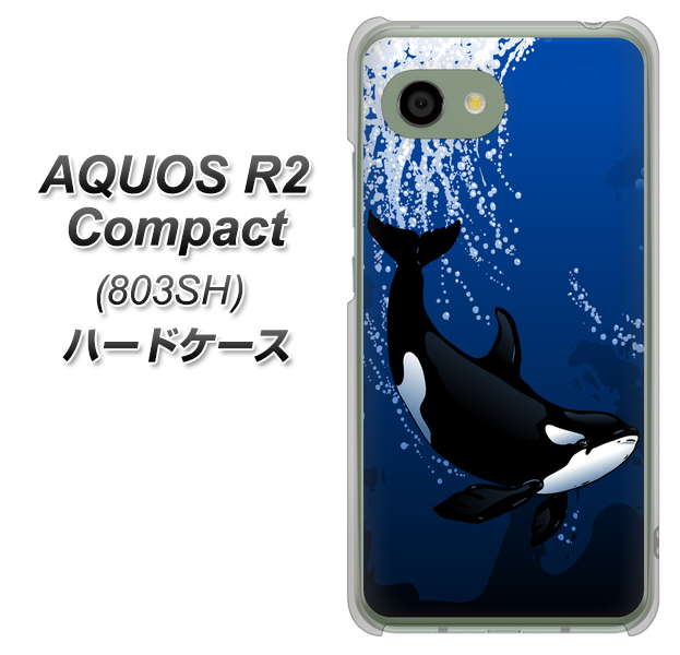 SoftBank アクオス R2 コンパクト 803SH 高画質仕上げ 背面印刷 ハードケース【423 シャチ】