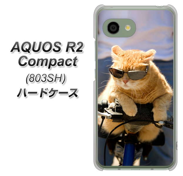 SoftBank アクオス R2 コンパクト 803SH 高画質仕上げ 背面印刷 ハードケース【595 にゃんとサイクル】