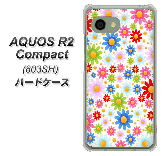 SoftBank アクオス R2 コンパクト 803SH 高画質仕上げ 背面印刷 ハードケース【606 マーガレット】