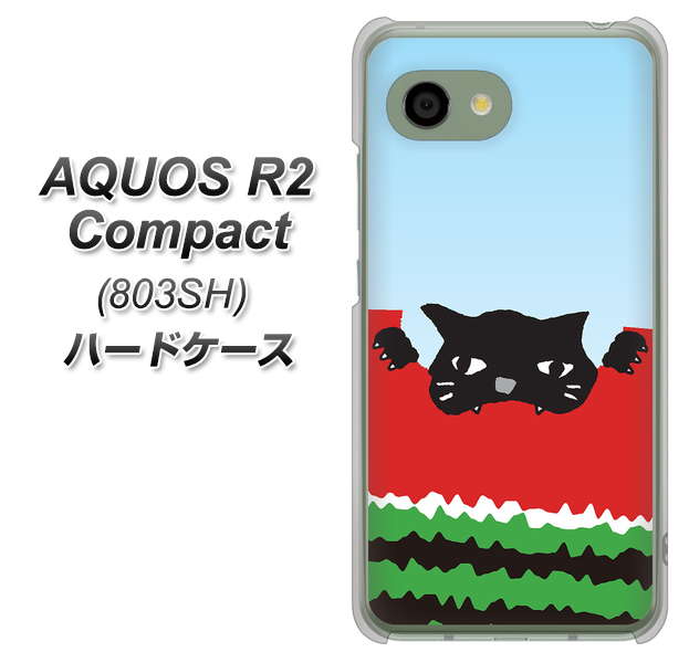 SoftBank アクオス R2 コンパクト 803SH 高画質仕上げ 背面印刷 ハードケース【IA815 すいかをかじるネコ(大)】