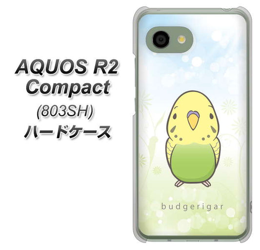 SoftBank アクオス R2 コンパクト 803SH 高画質仕上げ 背面印刷 ハードケース【SC838 セキセイインコ グリーン】