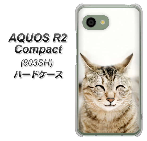 SoftBank アクオス R2 コンパクト 803SH 高画質仕上げ 背面印刷 ハードケース【VA801 笑福ねこ】