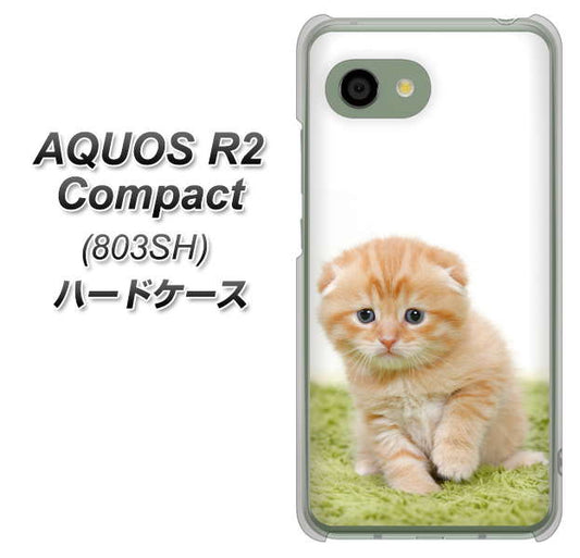 SoftBank アクオス R2 コンパクト 803SH 高画質仕上げ 背面印刷 ハードケース【VA802 ネコこっそり】
