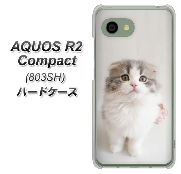 SoftBank アクオス R2 コンパクト 803SH 高画質仕上げ 背面印刷 ハードケース【VA803 まっていますネコ】