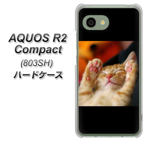 SoftBank アクオス R2 コンパクト 803SH 高画質仕上げ 背面印刷 ハードケース【VA804 爆睡するネコ】