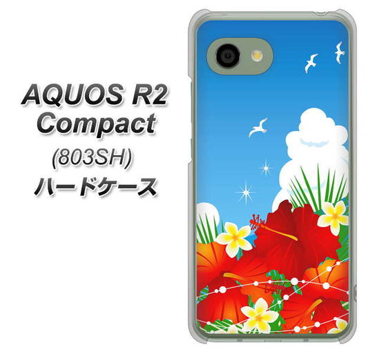 SoftBank アクオス R2 コンパクト 803SH 高画質仕上げ 背面印刷 ハードケース【VA821 ハイビスカスと青空】