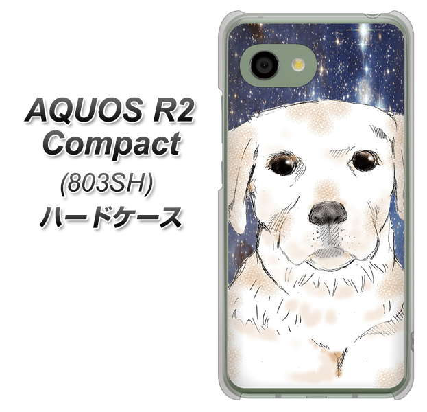 SoftBank アクオス R2 コンパクト 803SH 高画質仕上げ 背面印刷 ハードケース【YD820 ラブラドールレトリバー01】
