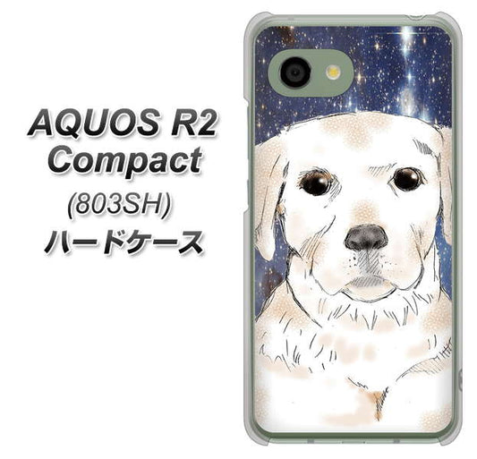 SoftBank アクオス R2 コンパクト 803SH 高画質仕上げ 背面印刷 ハードケース【YD820 ラブラドールレトリバー01】
