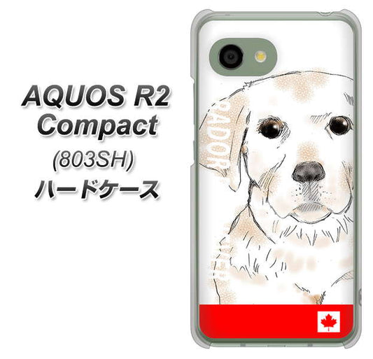 SoftBank アクオス R2 コンパクト 803SH 高画質仕上げ 背面印刷 ハードケース【YD821 ラブラドールレトリバー02】