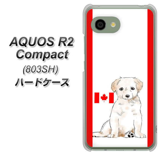 SoftBank アクオス R2 コンパクト 803SH 高画質仕上げ 背面印刷 ハードケース【YD824 ラブラドールレトリバー05】