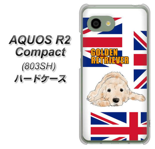 SoftBank アクオス R2 コンパクト 803SH 高画質仕上げ 背面印刷 ハードケース【YD825 ゴールデンレトリバー01】