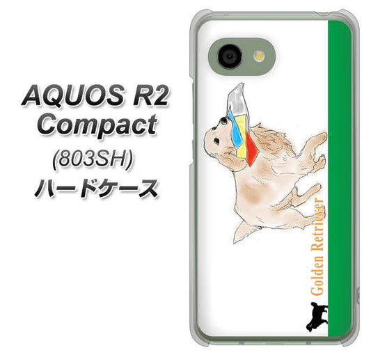 SoftBank アクオス R2 コンパクト 803SH 高画質仕上げ 背面印刷 ハードケース【YD829 ゴールデンレトリバー05】
