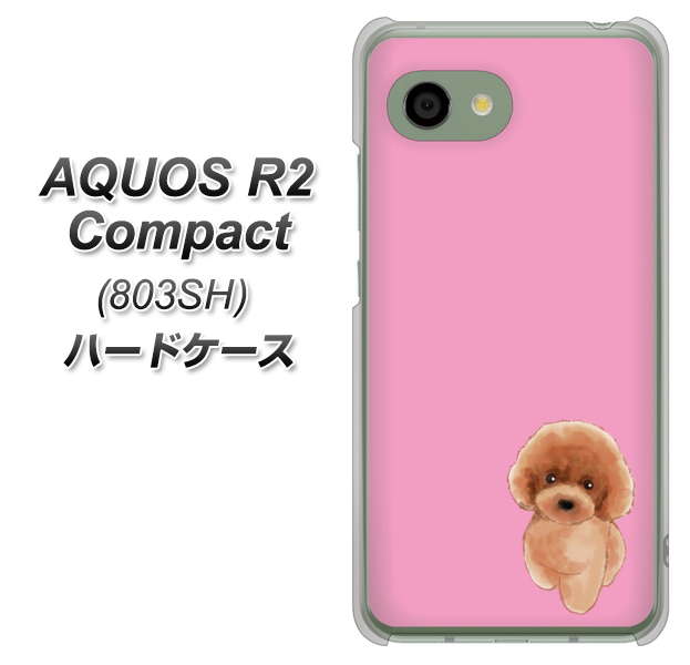 SoftBank アクオス R2 コンパクト 803SH 高画質仕上げ 背面印刷 ハードケース【YJ049 トイプードルレッド(ピンク)】