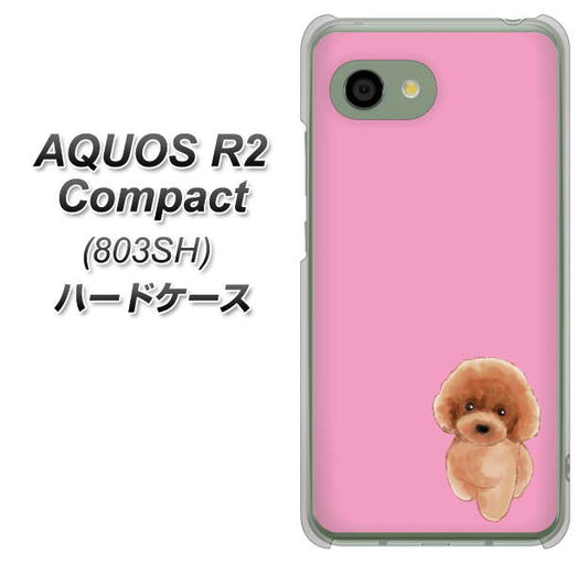 SoftBank アクオス R2 コンパクト 803SH 高画質仕上げ 背面印刷 ハードケース【YJ049 トイプードルレッド(ピンク)】