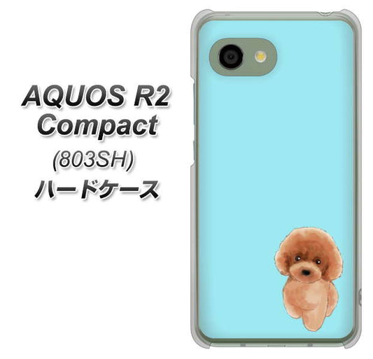 SoftBank アクオス R2 コンパクト 803SH 高画質仕上げ 背面印刷 ハードケース【YJ050 トイプードルレッド(ブルー)】