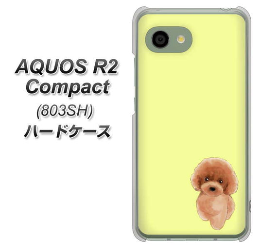 SoftBank アクオス R2 コンパクト 803SH 高画質仕上げ 背面印刷 ハードケース【YJ051 トイプードルレッド(イエロー)】