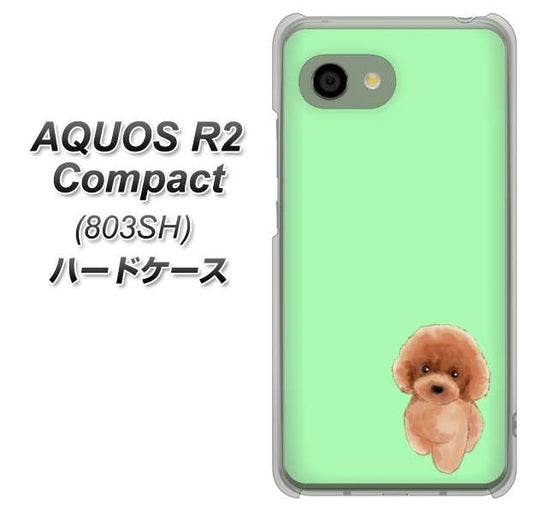 SoftBank アクオス R2 コンパクト 803SH 高画質仕上げ 背面印刷 ハードケース【YJ052 トイプードルレッド( グリーン)】