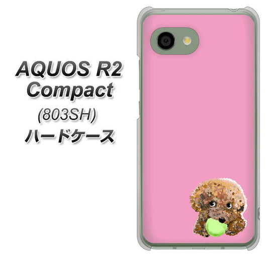 SoftBank アクオス R2 コンパクト 803SH 高画質仕上げ 背面印刷 ハードケース【YJ053 トイプードル&ボール(ピンク)】