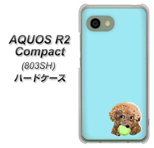 SoftBank アクオス R2 コンパクト 803SH 高画質仕上げ 背面印刷 ハードケース【YJ054 トイプードル&ボール(ブルー)】
