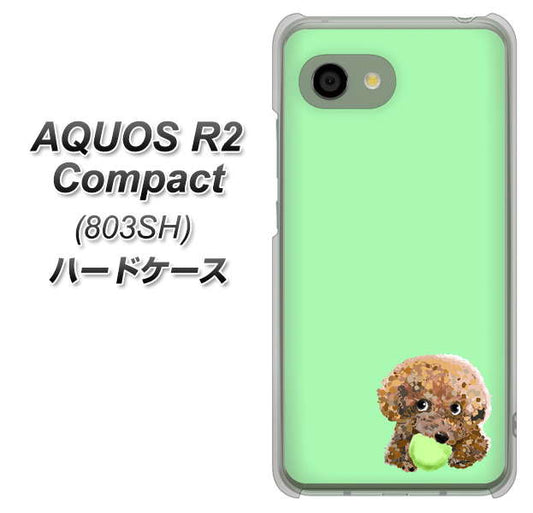 SoftBank アクオス R2 コンパクト 803SH 高画質仕上げ 背面印刷 ハードケース【YJ055 トイプードル&ボール(グリーン)】