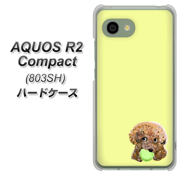SoftBank アクオス R2 コンパクト 803SH 高画質仕上げ 背面印刷 ハードケース【YJ056 トイプードル&ボール(イエロー)】