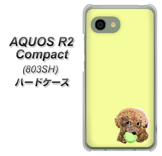 SoftBank アクオス R2 コンパクト 803SH 高画質仕上げ 背面印刷 ハードケース【YJ056 トイプードル&ボール(イエロー)】