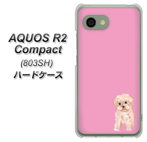 SoftBank アクオス R2 コンパクト 803SH 高画質仕上げ 背面印刷 ハードケース【YJ061 トイプードルアプリコット(ピンク)】